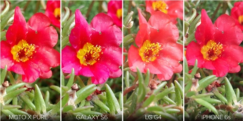 Chụp ảnh trên iphone 6s có gì khác