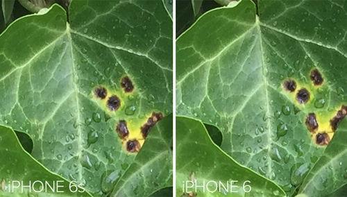 Chụp ảnh trên iphone 6s có gì khác
