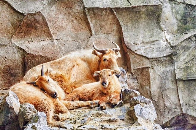 10 lý do khiến bạn phải đến du ngoạn bhutan trong năm nay