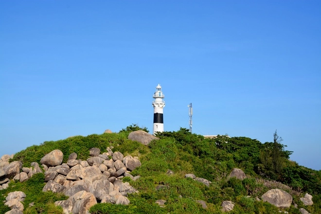 Hành trình du ngoạn ở cù lao xanh