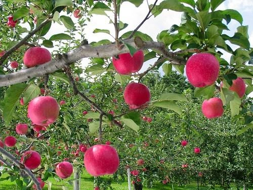 Hãy sống theo cách của bạn những điều cần làm