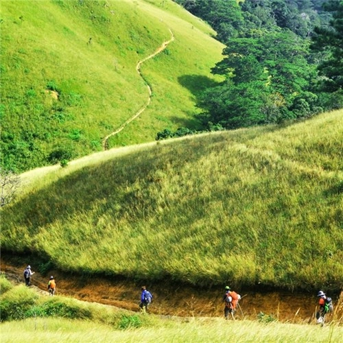 Vẻ đẹp của cung đường treck đẹp nhất việt nam