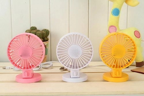 Cách giúp giày không bị ẩm mốc cực cần thiết trong mùa mưa này