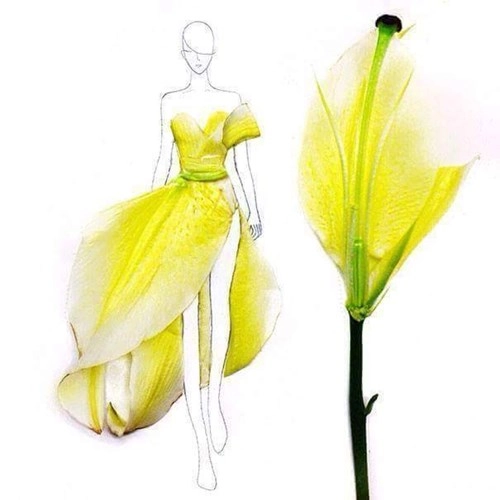 Bst những bộ váy hoa khiến người xem không thể rời mắt 1 giây