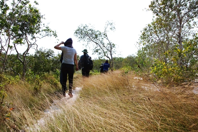 24h khám phá rừng bưng thị hoang sơ ở bình thuận thích thú