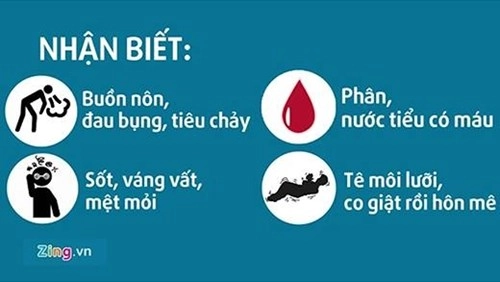 Ngộ độc thực phẩm và những cách xử lí chính xác cần biết