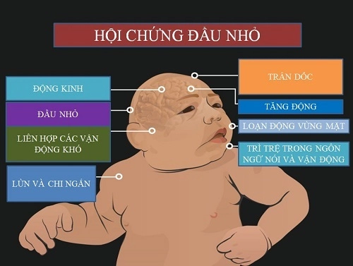 Virus zika hoành hành trong lịch sử nhân loại như thế nào