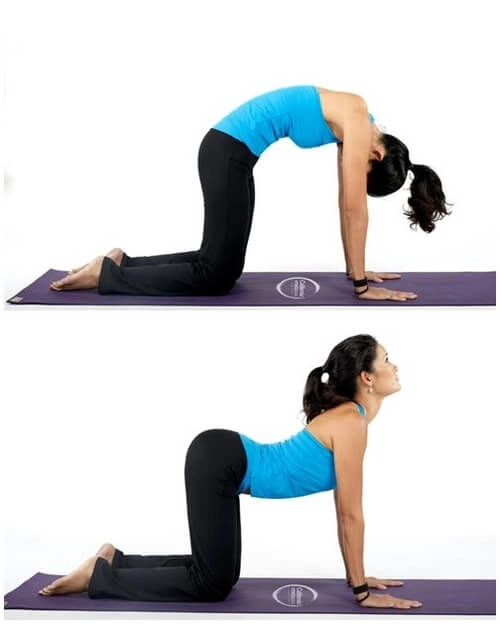 4 tư thế yoga trước khi đi ngủ giúp giảm cân hiệu quả