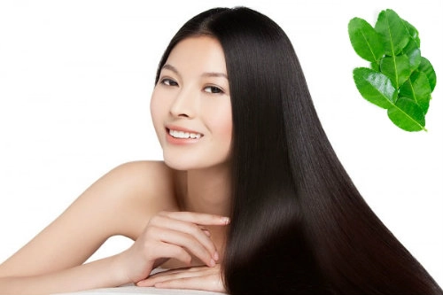 Các công dụng làm đẹp không ngờ tới của lá chanh bạn có biết