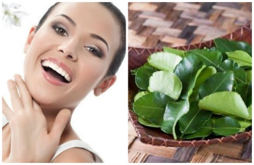 Các công dụng làm đẹp không ngờ tới của lá chanh bạn có biết
