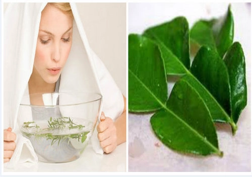 Các công dụng làm đẹp không ngờ tới của lá chanh bạn có biết