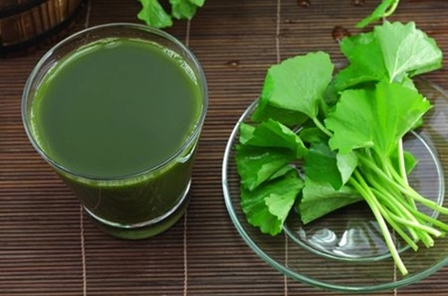 Sẹo lõm mờ đi chỉ với 2 ngàn đồng rau má bạn có biết