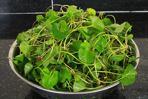 Sẹo lõm mờ đi chỉ với 2 ngàn đồng rau má bạn có biết
