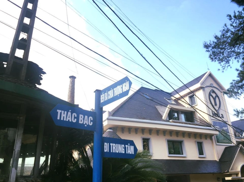 Những kinh nghiệm chi tiết khi du lịch tam đảo