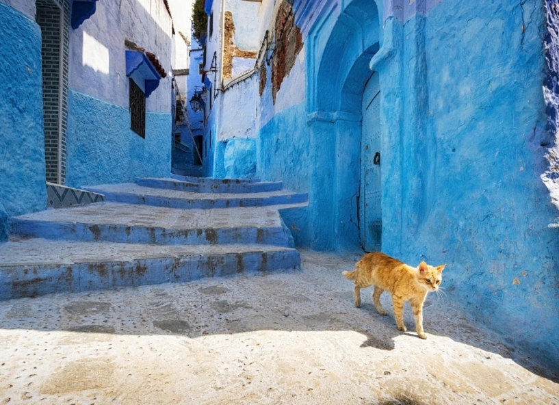 Bạn có biết morocco là xứ sở của các câu chuyện cổ tích