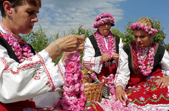 Bạn đã đến bulgaria và thung lũng hoa hồng thơ mộng