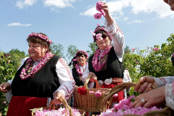 Bạn đã đến bulgaria và thung lũng hoa hồng thơ mộng