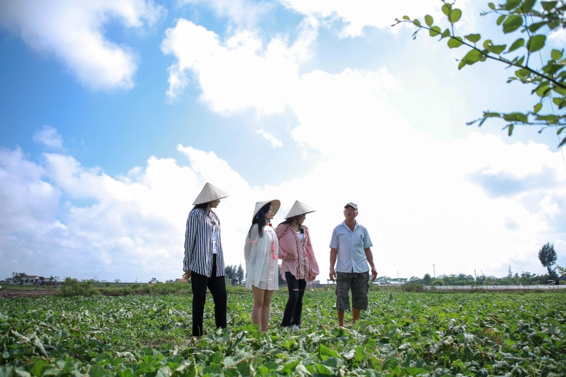 Các sao diệu nhi sĩ thanh yaya trương nhi trở thành ngư dân đi cào nghêu