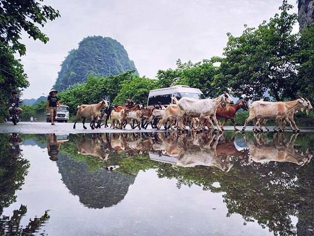 Địa điểm ninh bình tuyệt đẹp qua mi a2