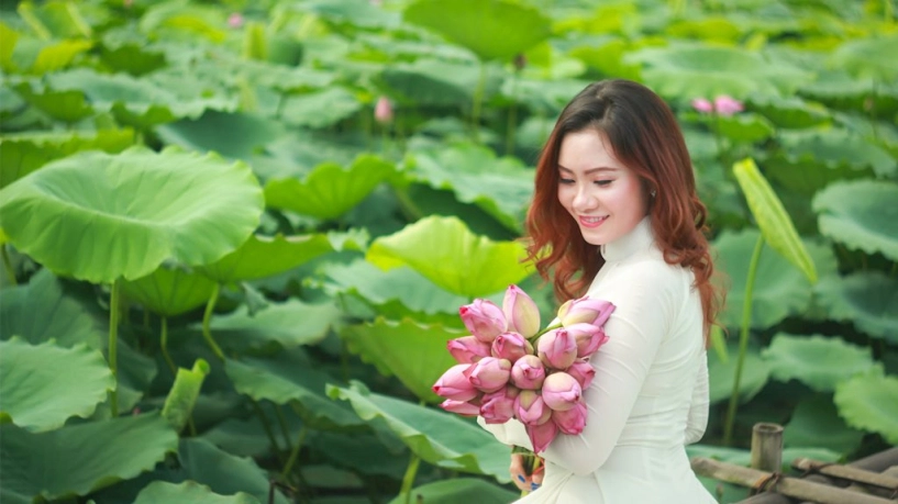 Những bức ảnh cùng hoa sen cao quý và thuần khiết thu hút ánh nhìn