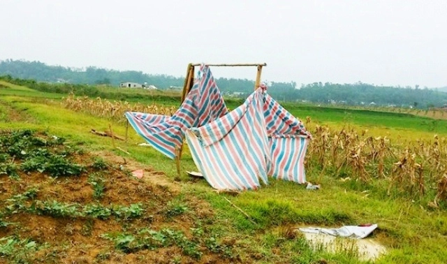 Những nguyên tắc giúp phong tranh set đanh
