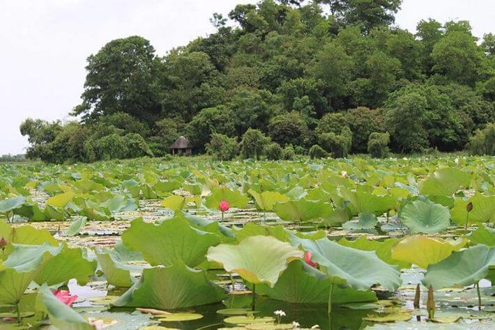 Hãy đến tràng an của thủ đô hà nội dù chỉ một lần