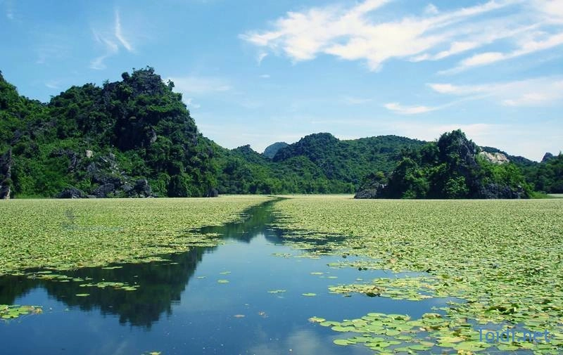 Hãy đến tràng an của thủ đô hà nội dù chỉ một lần