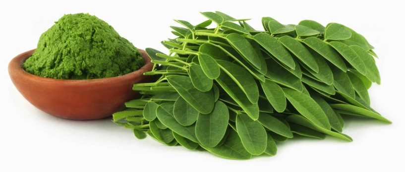 Những loại rau bà bầu cần tránh nếu muốn sinh con thông minh