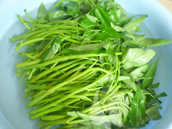 Rau muống và những công dụng chữa bệnh bạn cần biết
