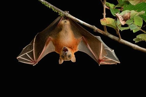 6 dấu hiệu báo bạn sắp gặp may mắn về tiền bạc và tình yêu