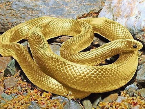 6 dấu hiệu báo bạn sắp gặp may mắn về tiền bạc và tình yêu