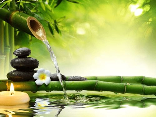 Đặt sai cách những vật dụng quen thuộc trong nhà có hại