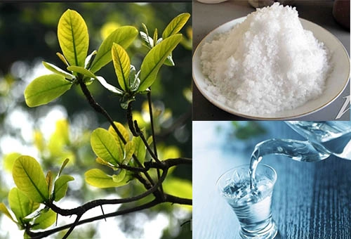 Sâu răng cứng đầu đến đâu cũng bị đánh bại