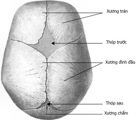 Trẻ sơ sinh và những điều mẹ chưa biết