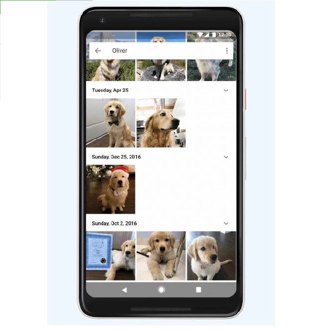 Google photos đã có thể nhận diện thú nuôi