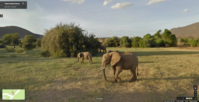 11 hình ảnh đẹp nhất được chụp bằng google street view