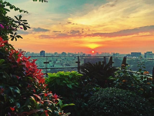 Nathan lee còn khéo chăm được cả khu vườn trên không tuyệt đẹp