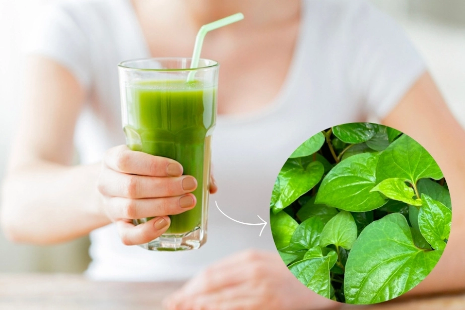 Giảm mụn sáng da tăng collagen cấp tốc sau 3 ngày đi biển